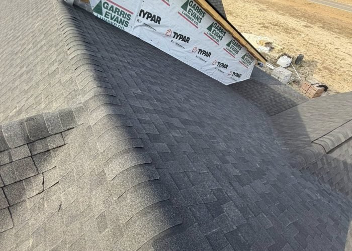 614203288_122158558028910386_4408341263674651088_n